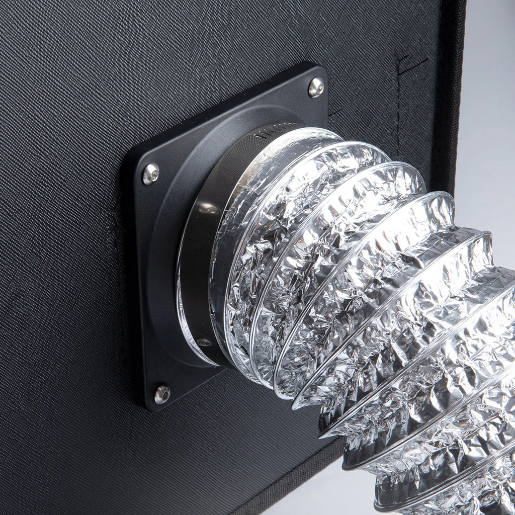 Enclosure for Phecda - Image 4